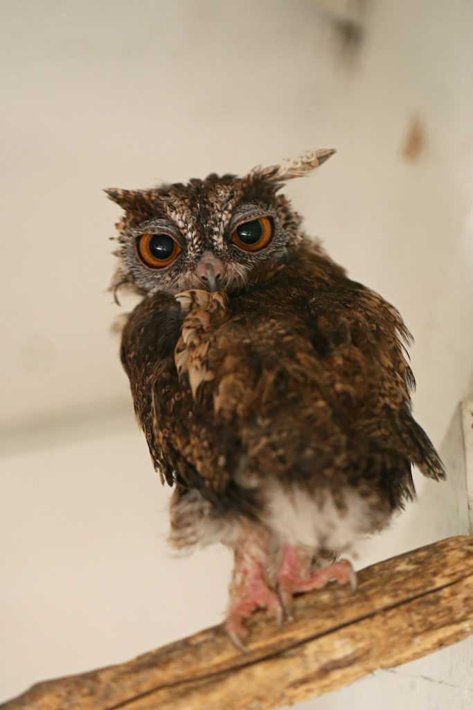 ち～と怒ってる