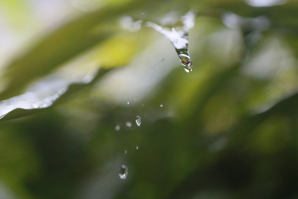 シャッタ―切るの早かった