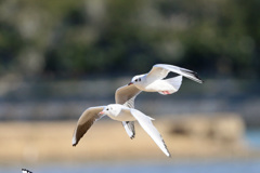 日差しを浴びて