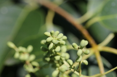 日差しを浴びて