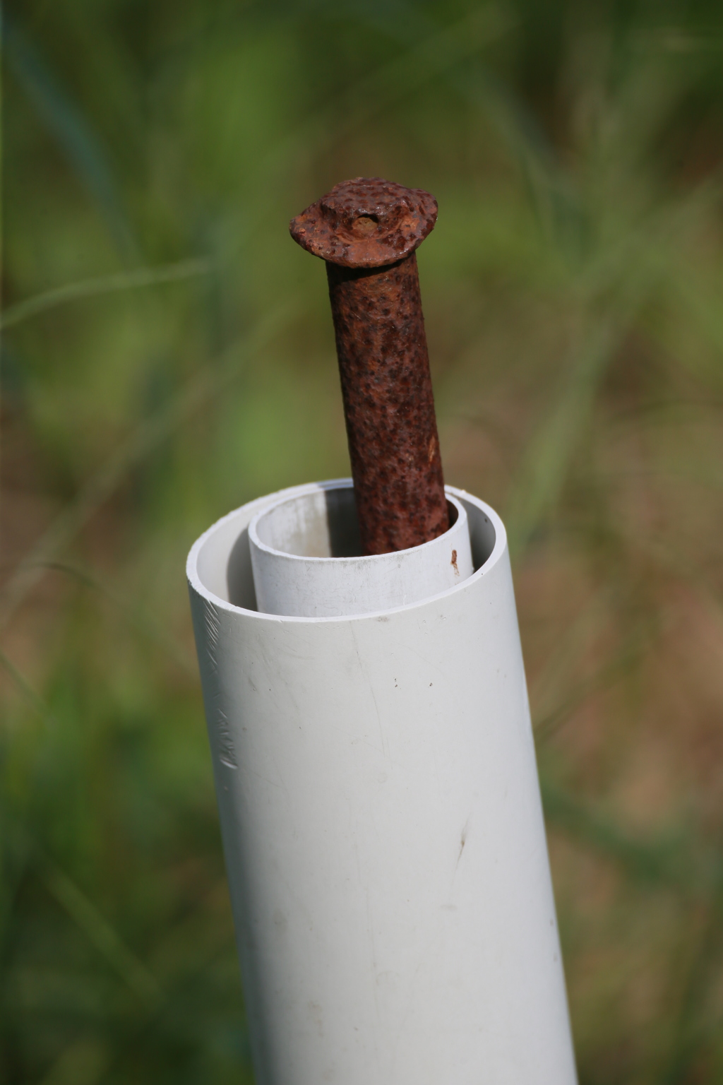 出る杭は打たれる