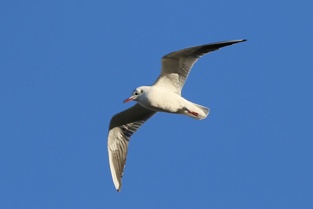 日差しを浴びて