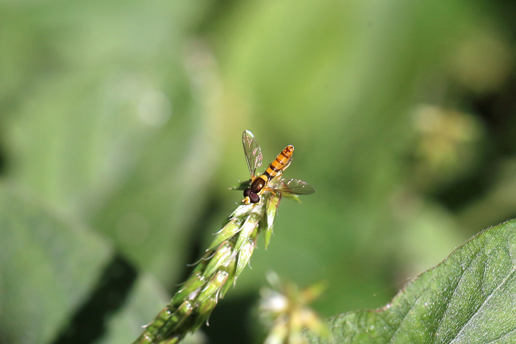 ちっちゃくて可愛いでしょ