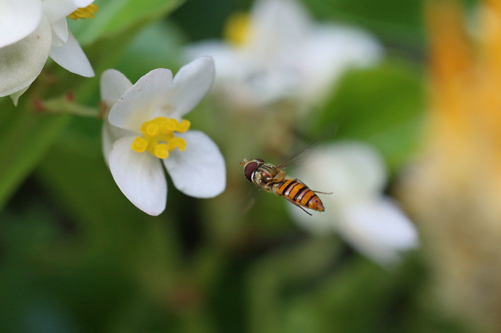 もう少しで到着よ