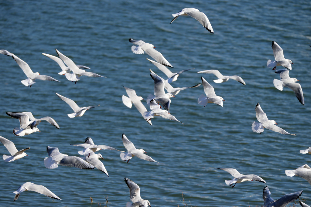 今年もお世話になりました