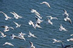 今年もお世話になりました