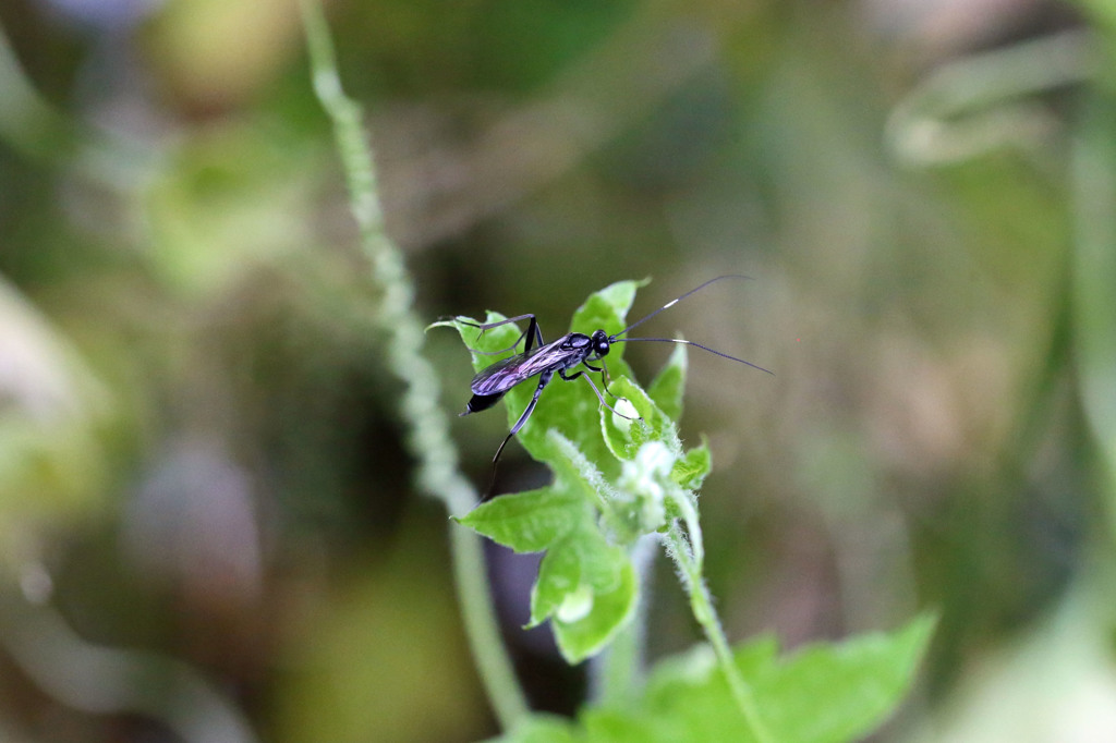 足踏ん張ってます