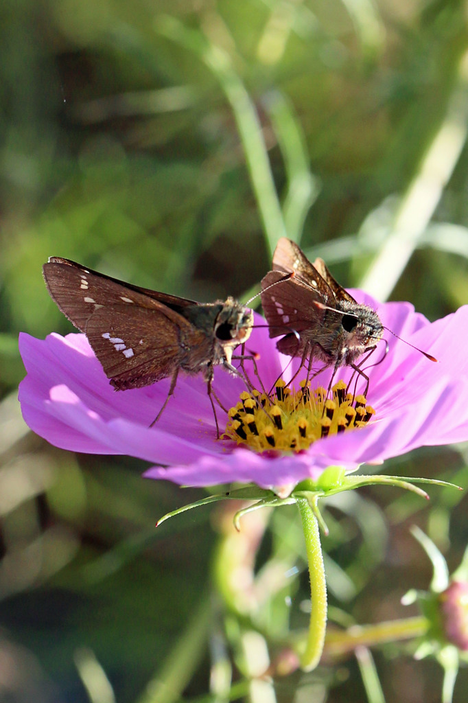 二人並んでおはようさん