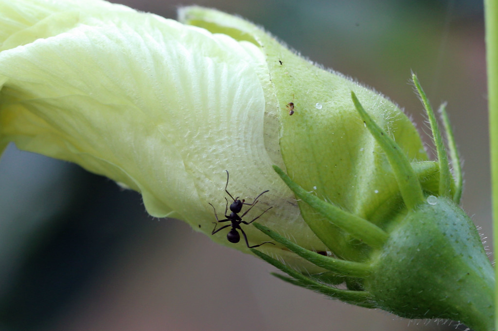 朝食おいしいかな