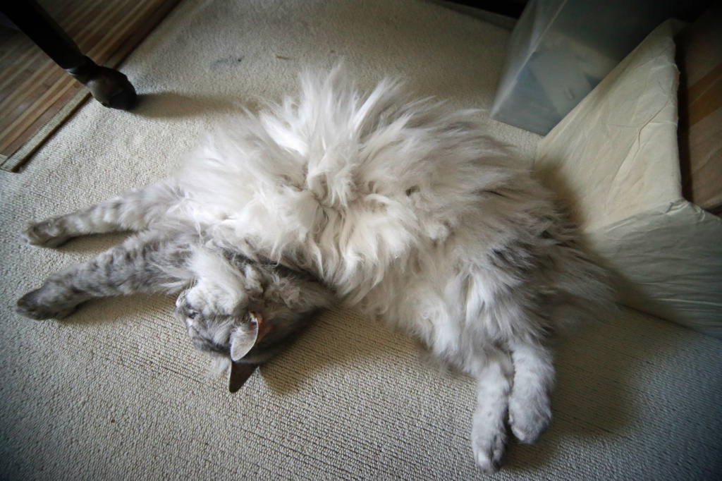 いつもよりよけいにひねってます