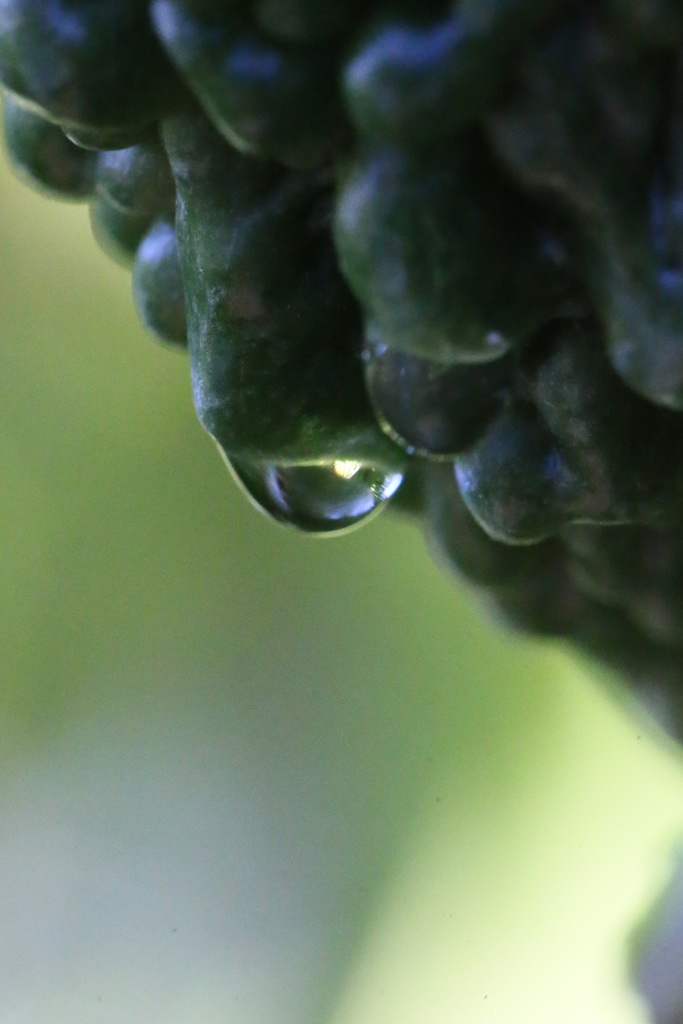 水滴シリーズ-3