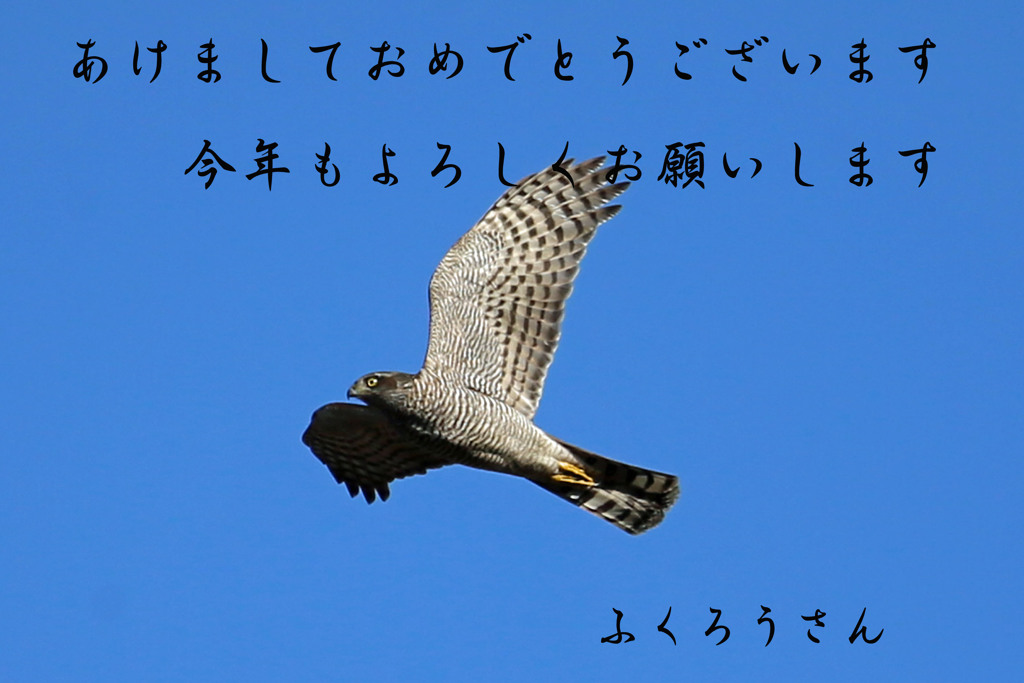 あけましておめでとうございます