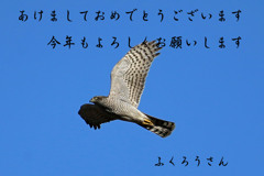 あけましておめでとうございます