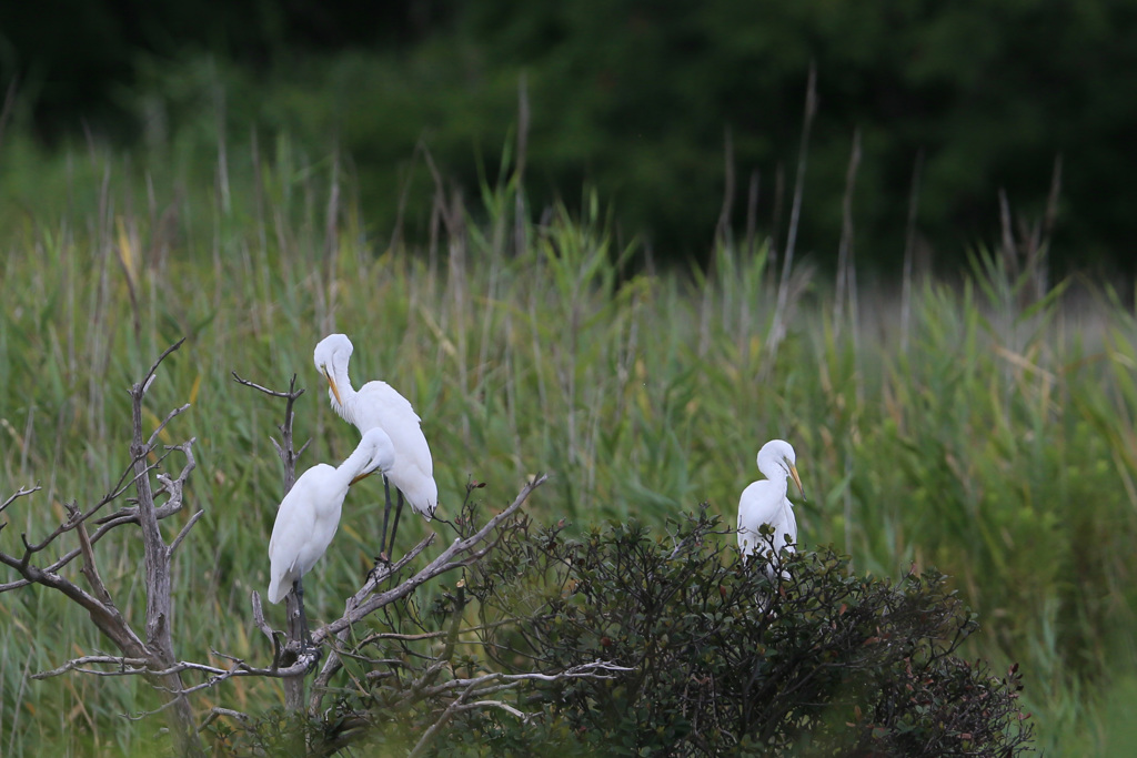 みんなでお休み中
