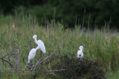 みんなでお休み中