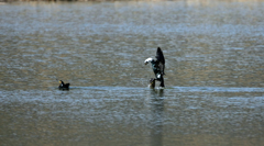 僕がとまるけん-5