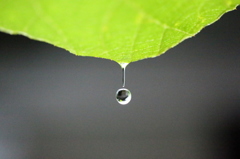 雨だれー1