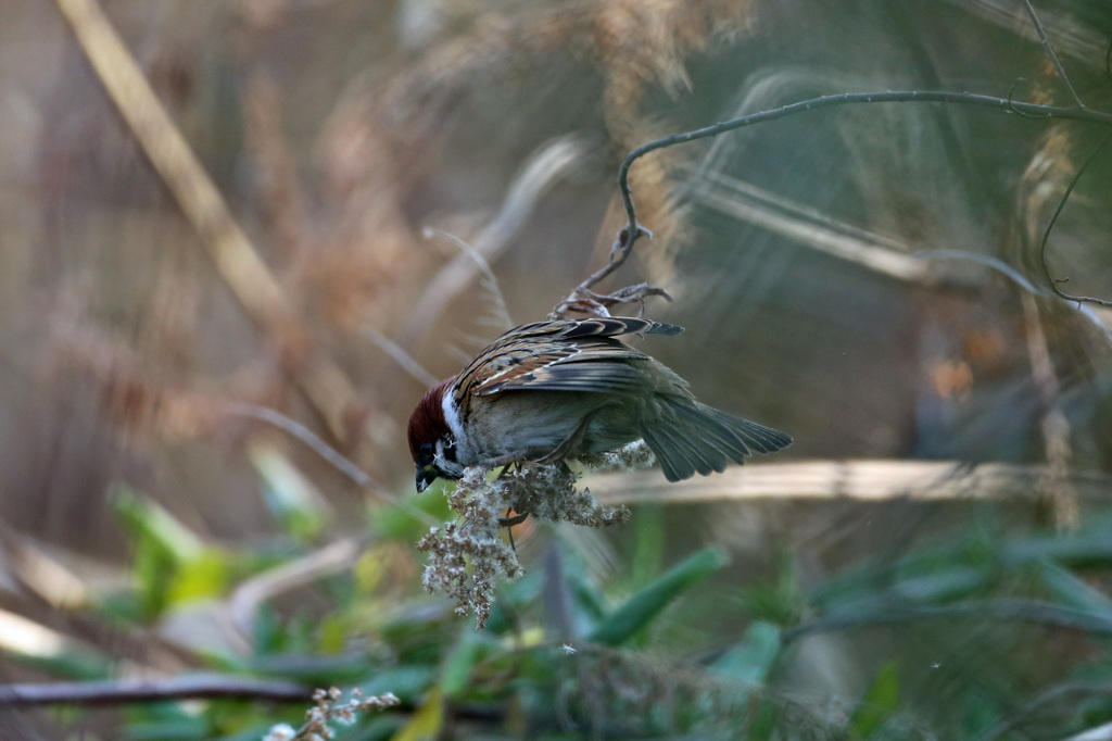 勢い余って前おちる