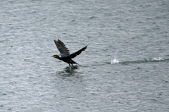 今から飛びます