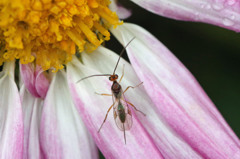 初めてお会いしました