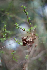 写真の基本50ｍｍレンズその4