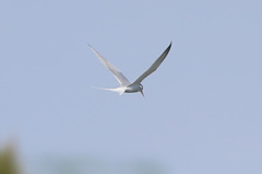 ちょっと下見る