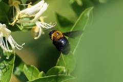 お尻ピカピカ-1