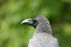 カッコイイモデルさん