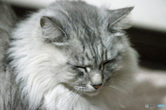 望遠レンズでポートレート-2