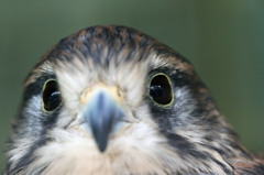 瞳の中に映るもの