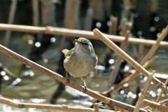 日差しを浴びて