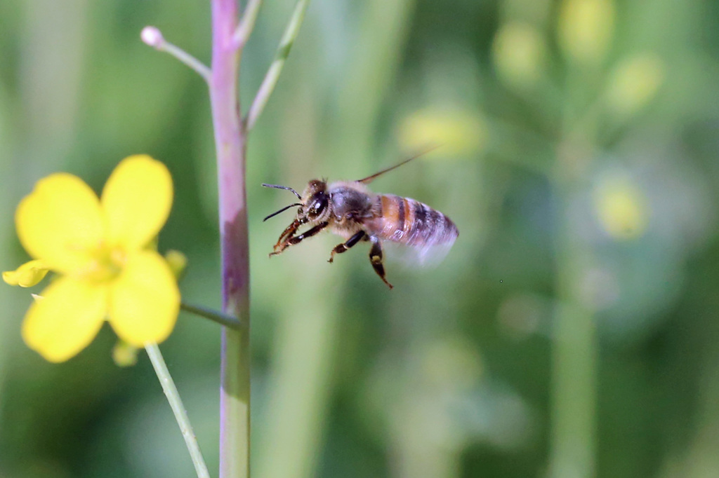 口から何か出てます