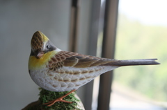 本物そっくりー5