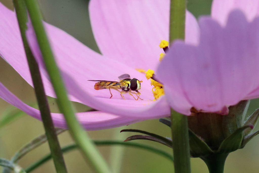 今日も気持ちいいわ～