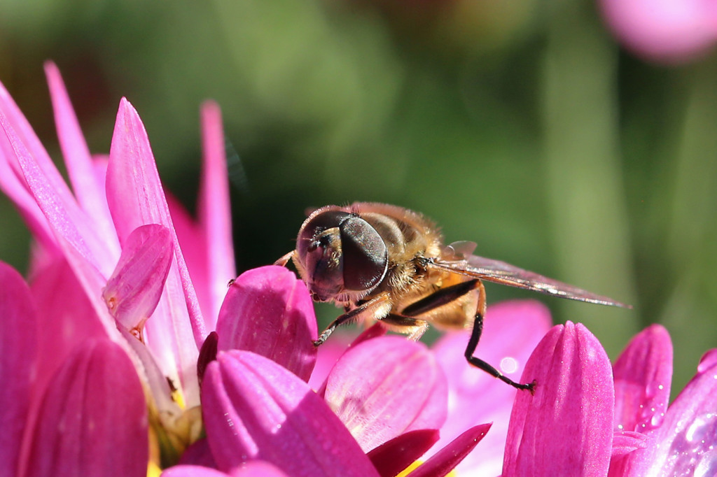 あ！足が外れそう