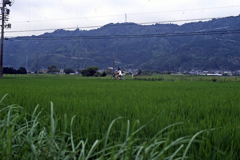 草原を走る少女