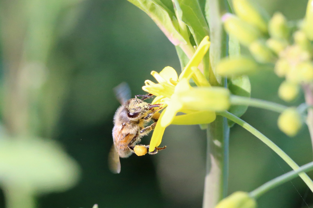 お仕事頑張って
