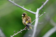 ビックリした～