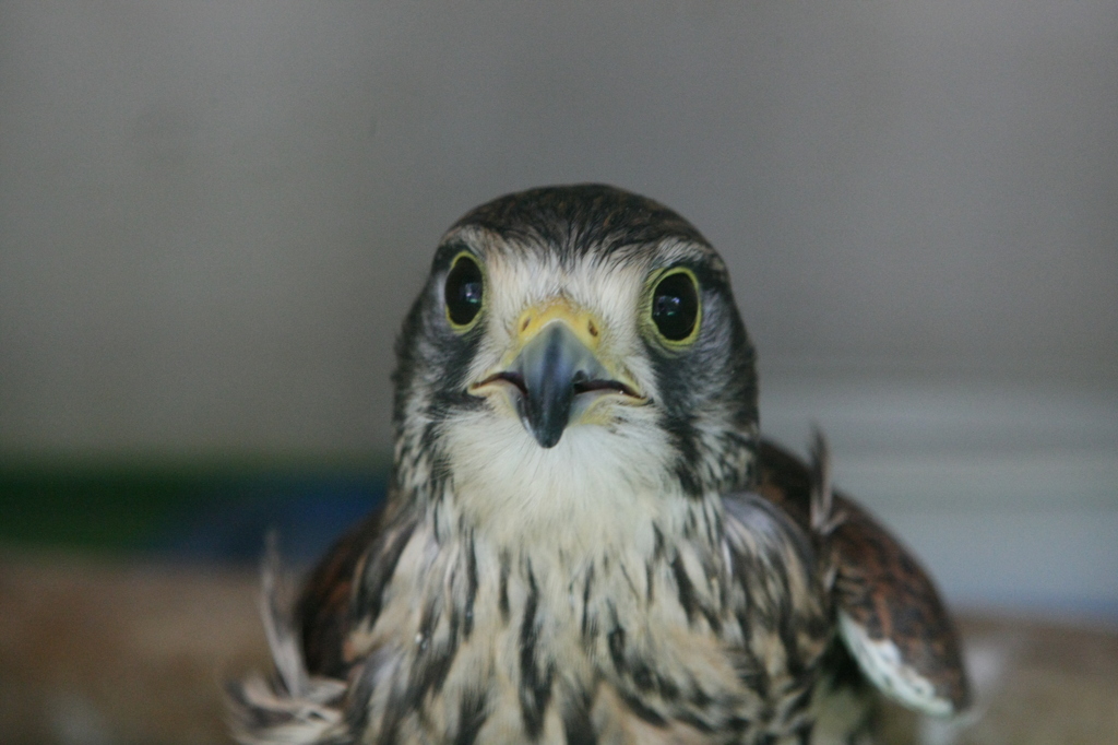 あーびっくりした