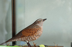 本物そっくりです-4