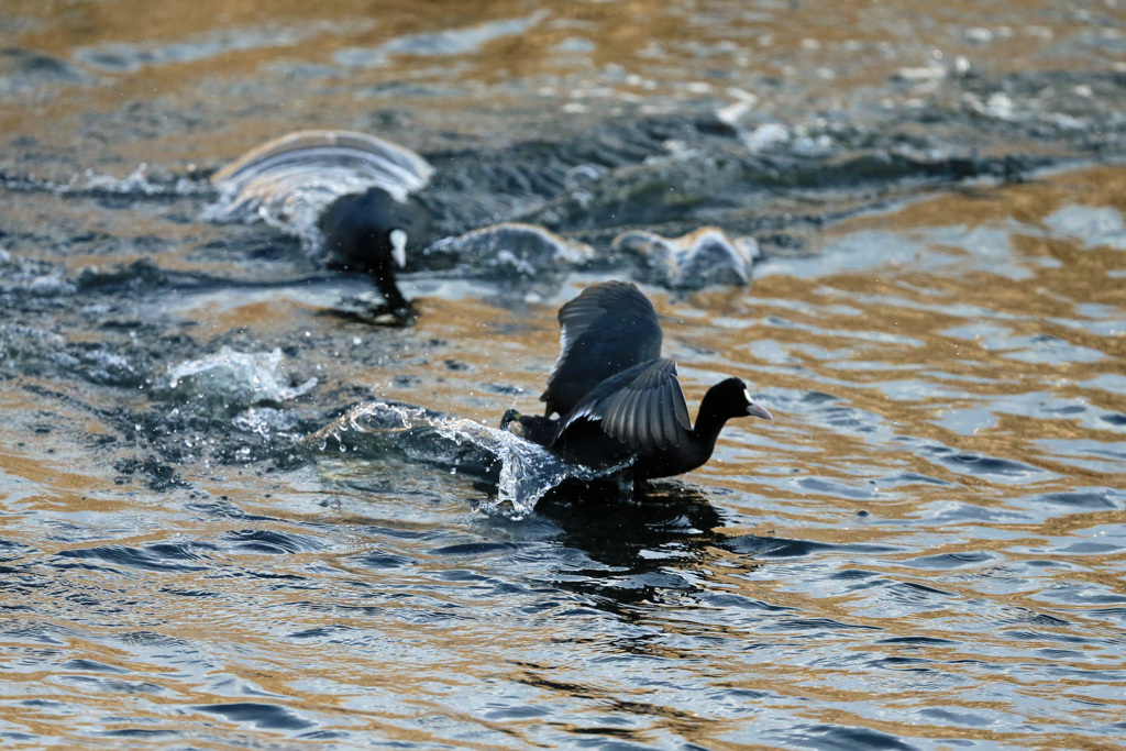 ユーターンその2