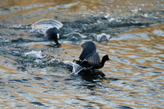 ユーターンその2