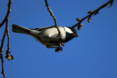 なに食べてるの