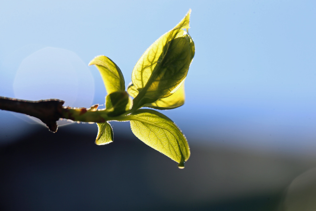 日差しを浴びて