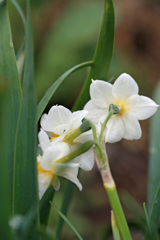 後ろからも綺麗です