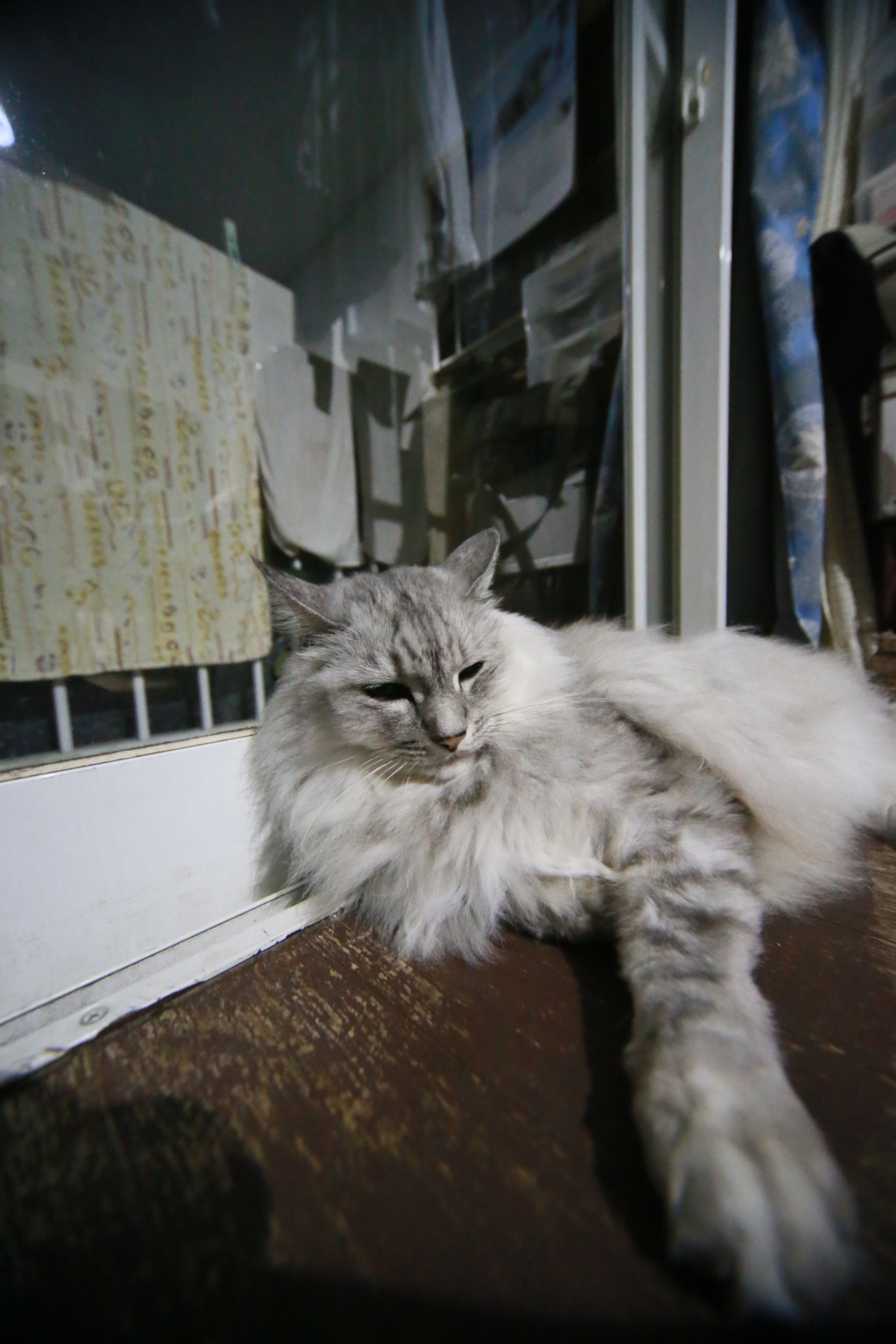 手長にゃにゃその1