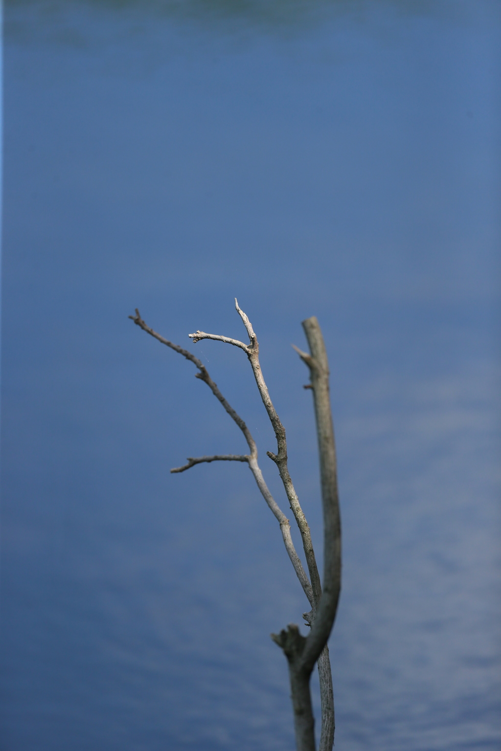 スポットライト