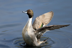 定番ポーズで-2