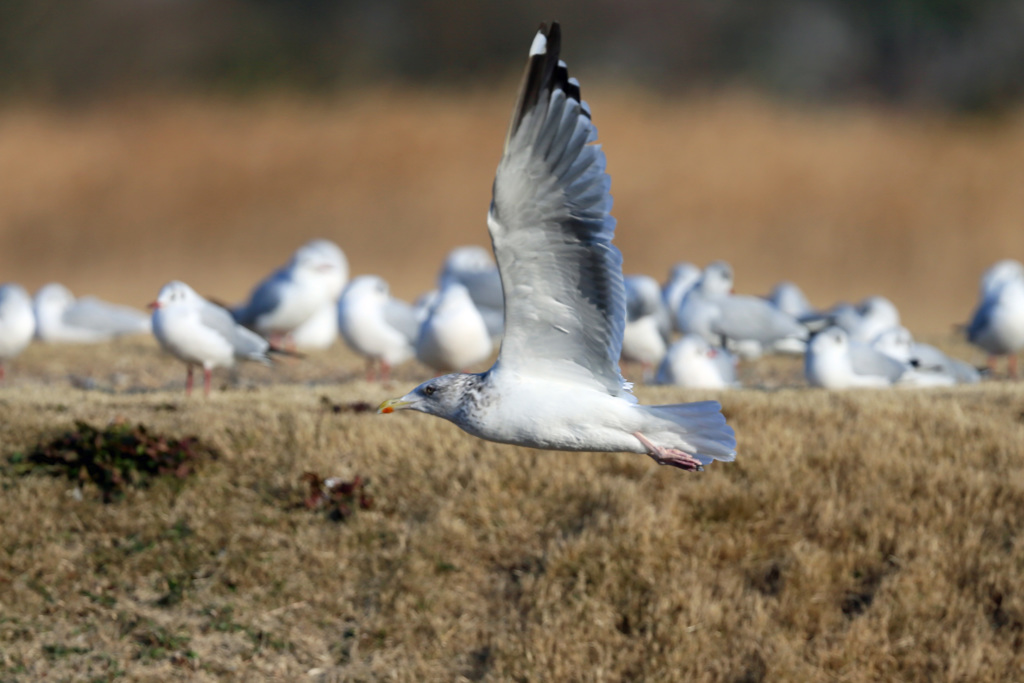 日差しを浴びて