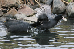 そのパンぼくの～